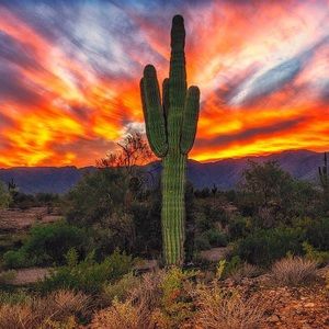 Meet your Posher, Lorena